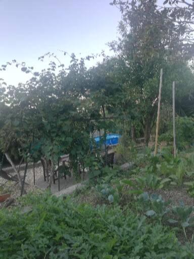 ホテル Ca' Clementine Sasso di Bordighera エクステリア 写真